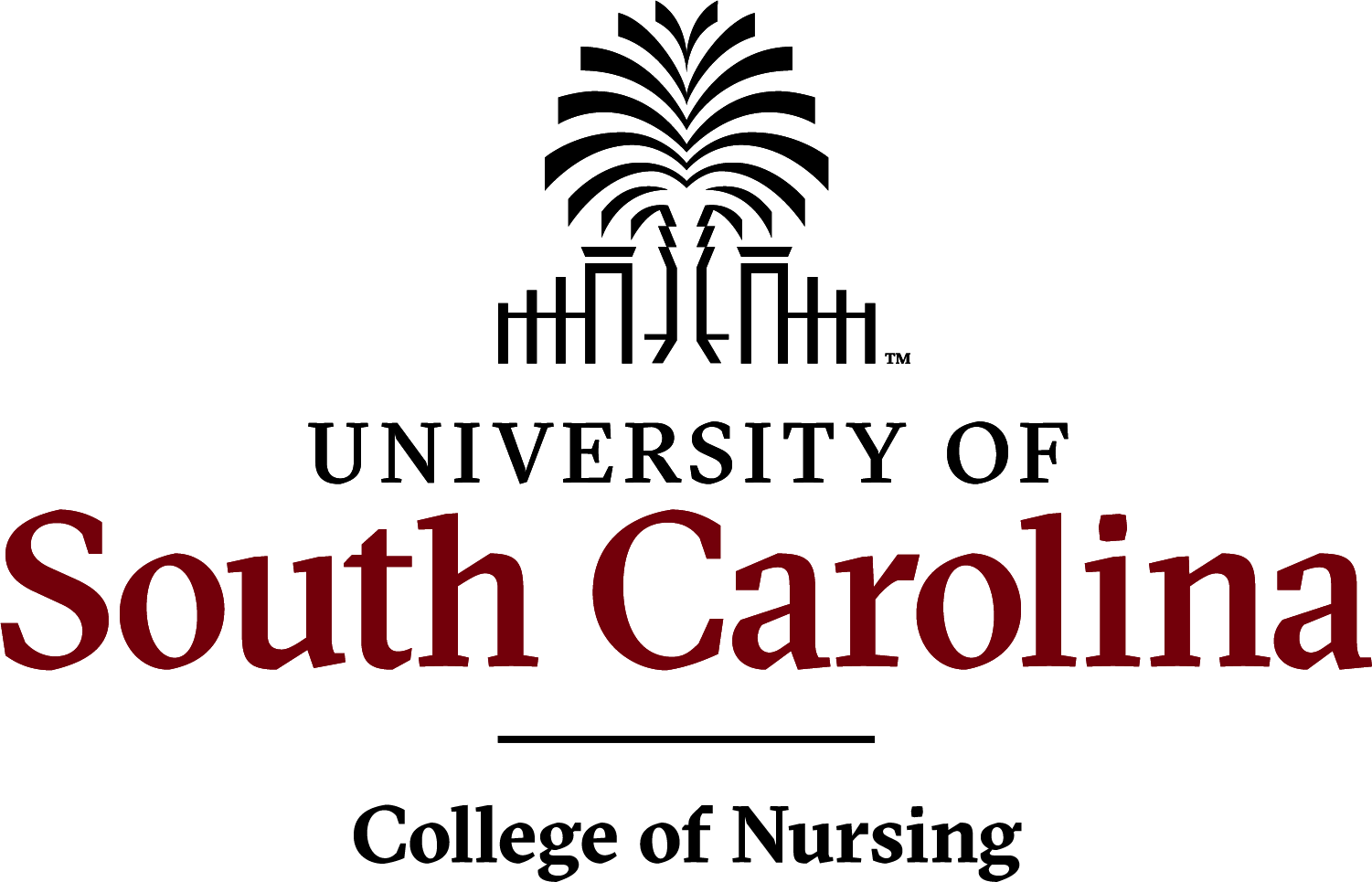 University of South Carolina College of Nursing logo